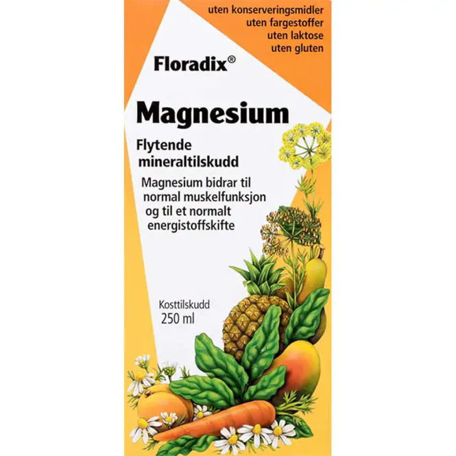 Hovedbilde Floradix Flytende Magnesiumtilskudd 250 ml
