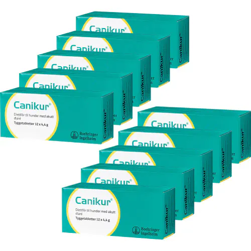 Canikur Tyggetabletter Klinikkpakke - 10 x 12 stk