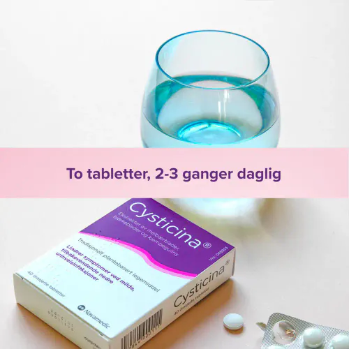 Cysticina Tabletter 40 stk